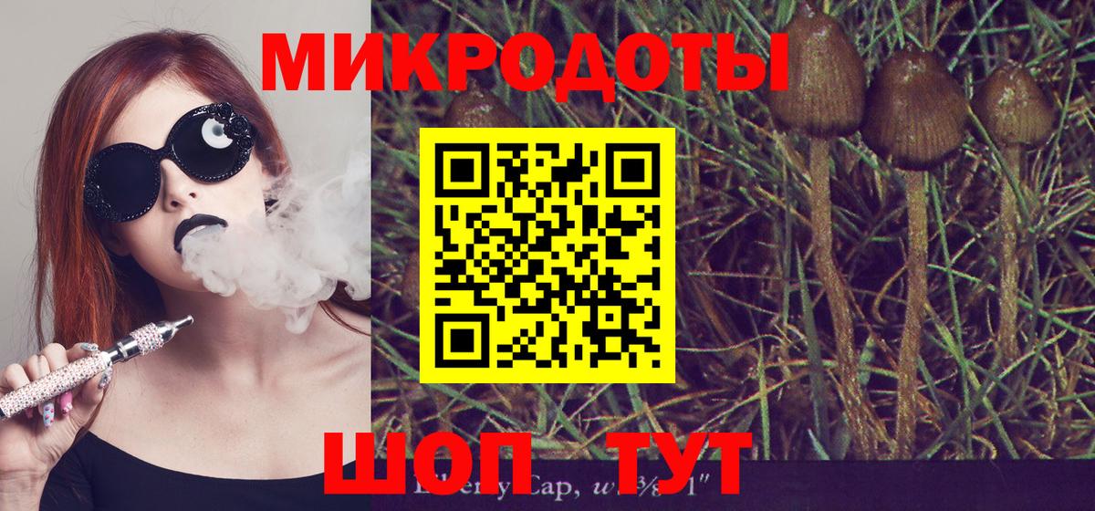Галлюциногенные грибы мухоморы Канаш