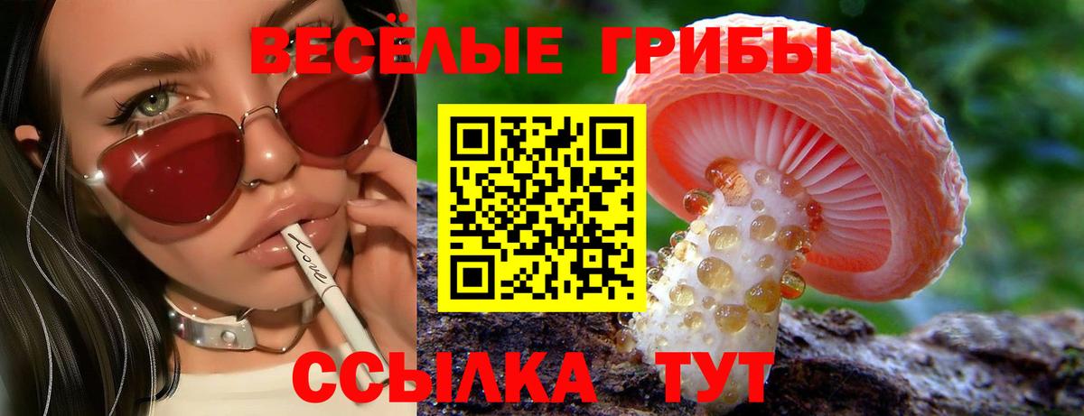 Канаш  Псилоцибиновые грибы прущие грибы  Вход с VPN 